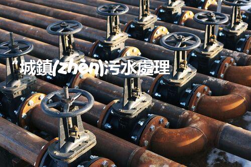 “城鎮(zhèn)污水處理規(guī)劃：綠色以后，清潔家園新篇章”